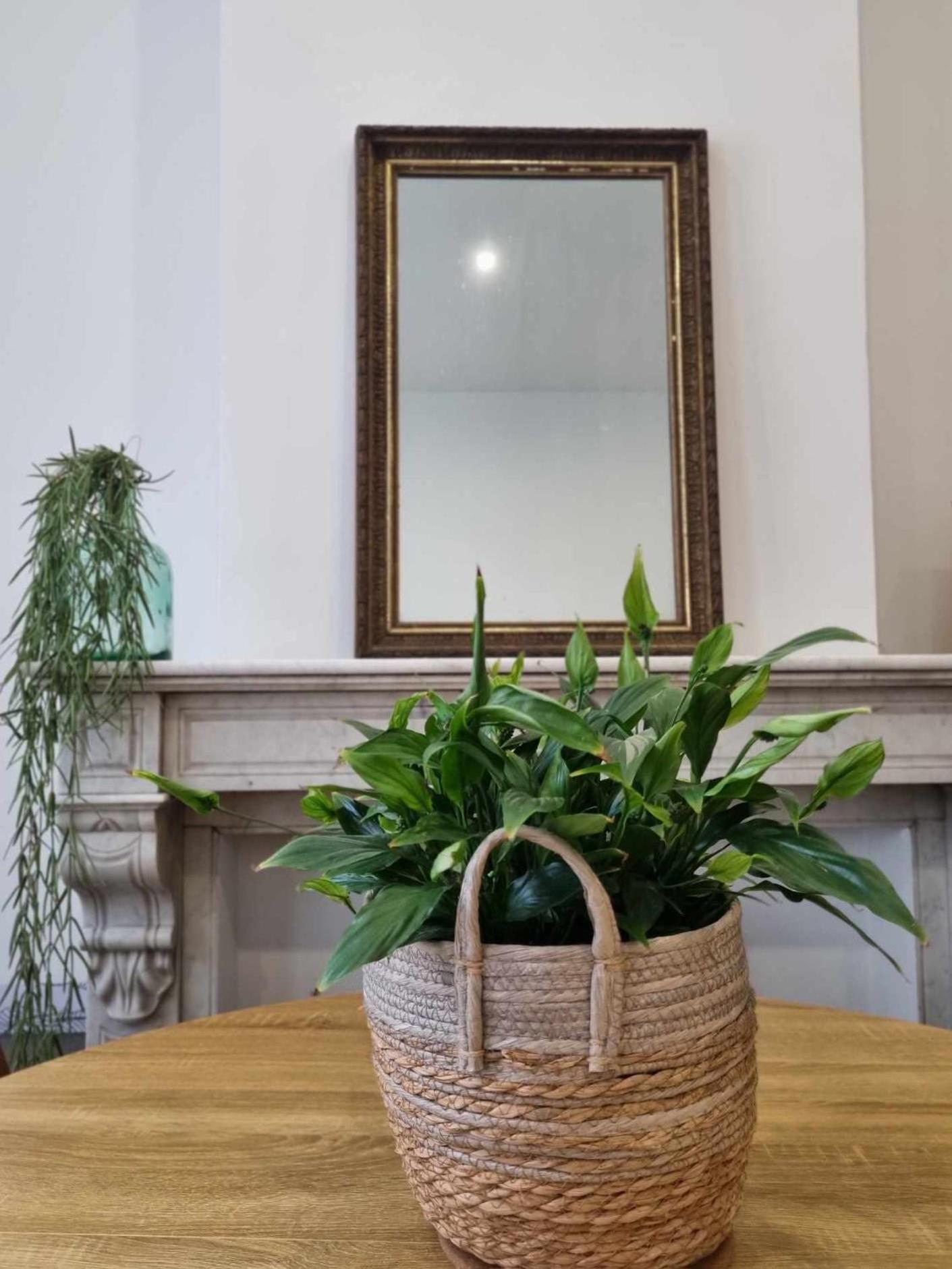 Apartament Le Vauban Cambrai Zewnętrze zdjęcie