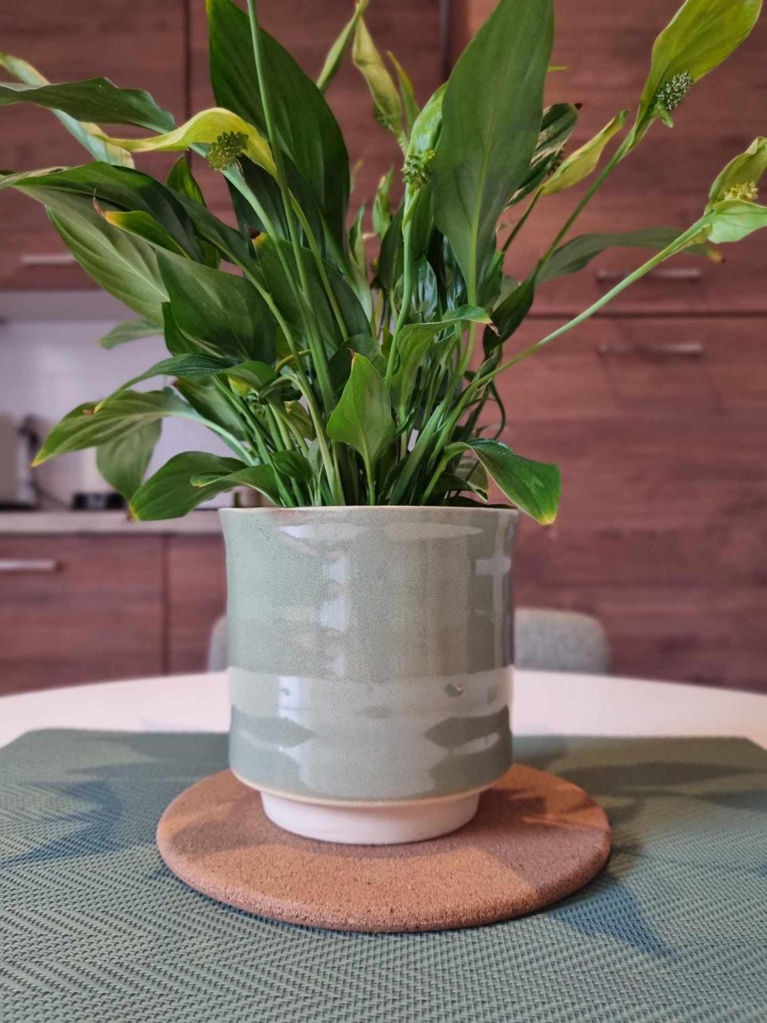 Apartament Le Vauban Cambrai Zewnętrze zdjęcie